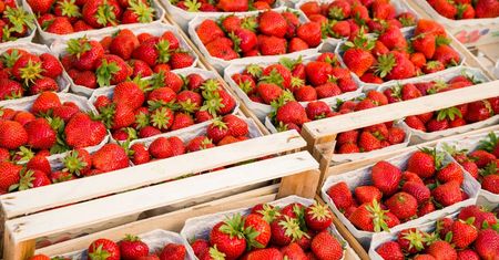 Taka kartka przy truskawkach. Plantator nie gryzł się w język