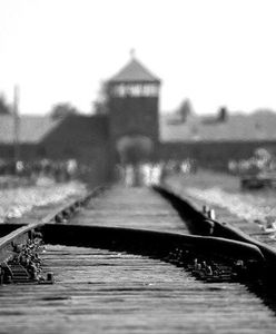 Książka oparta na faktach - „Położna z Auschwitz”