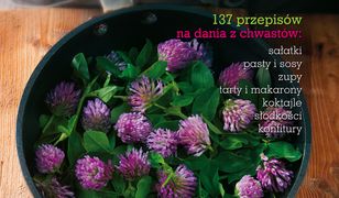 Pyszne chwasty (oprawa miękka)