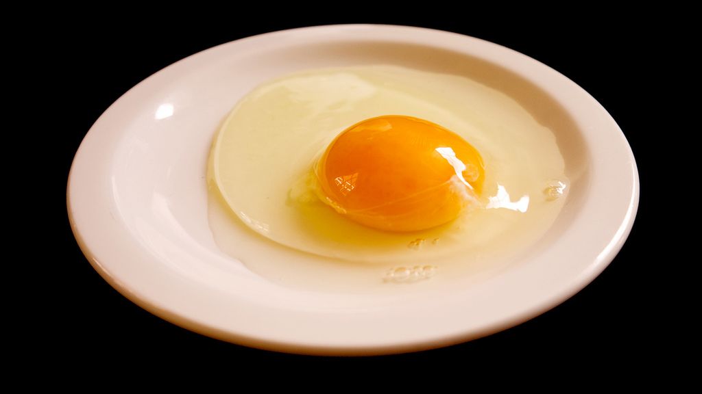 Zamiennik jajka (płynny lub mrożony), bez zawartości tłuszczu