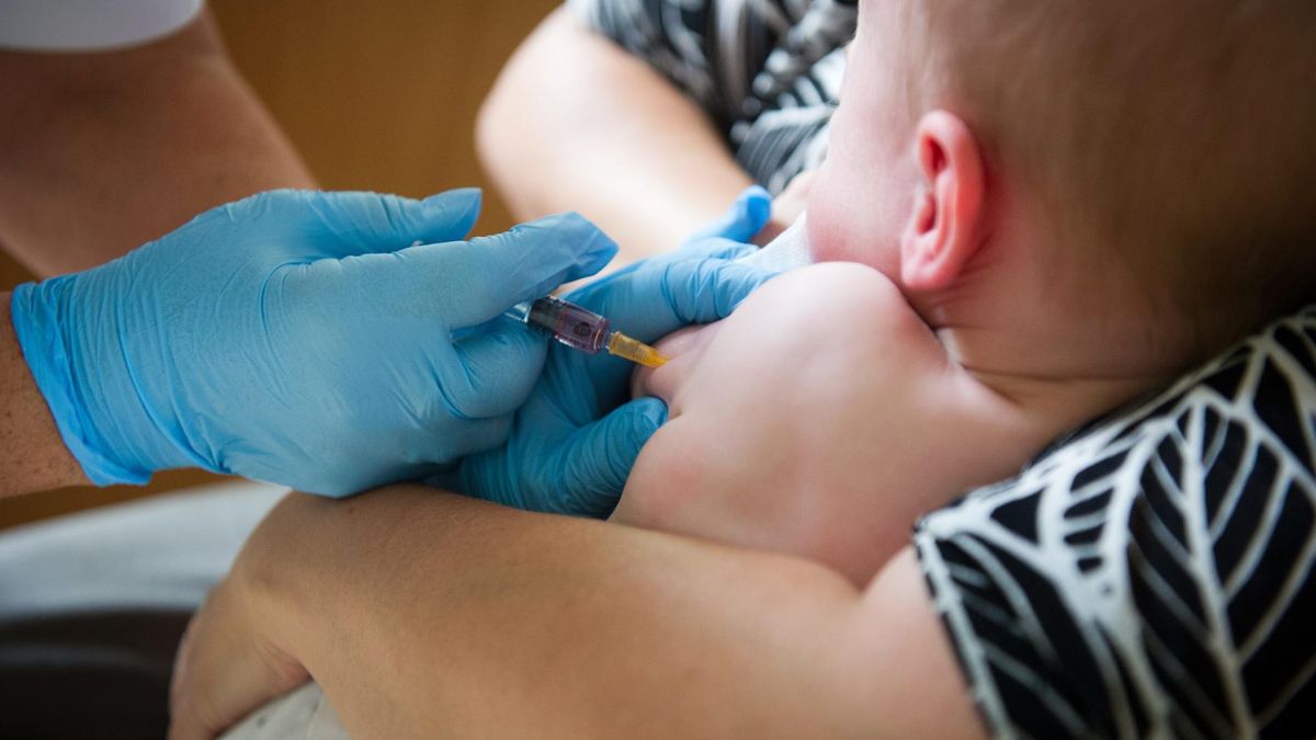 Firmy farmaceutyczne produkujące szczepionki, badają stabilność preparatów