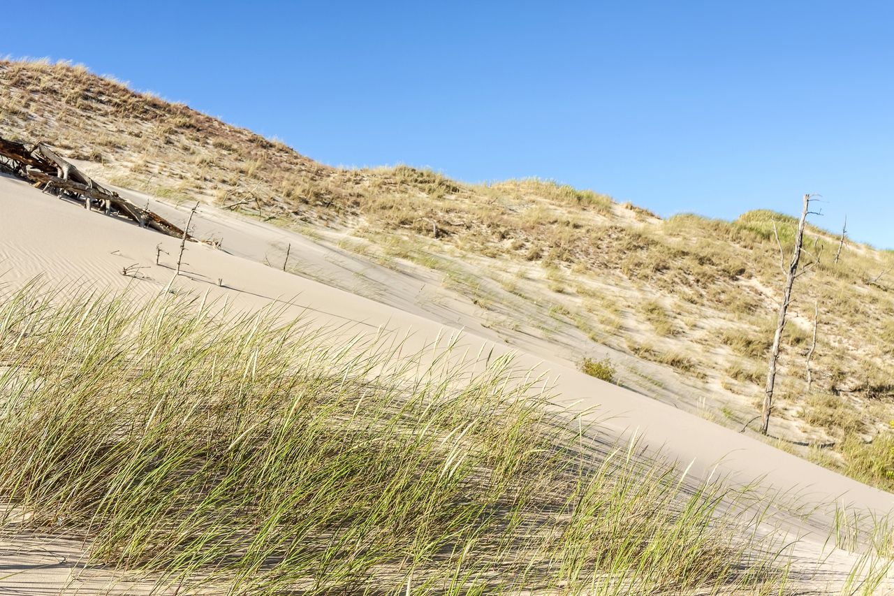 Walczą o polskie wydmy. Inwestycja za 27 mln zł w pomorskie plaże