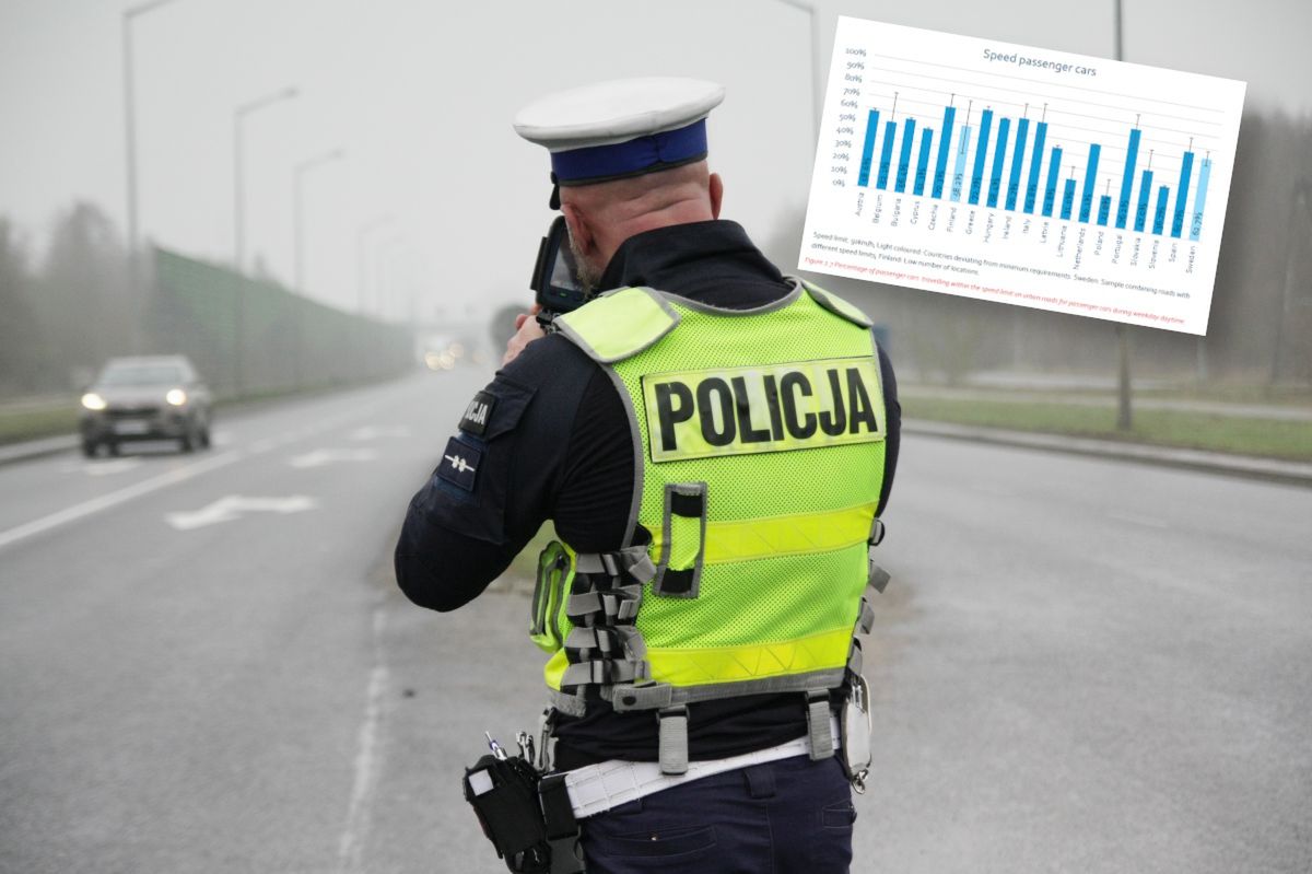 Prawdziwa plaga na polskich drogach. Tak źle nie ma nigdzie w Europie