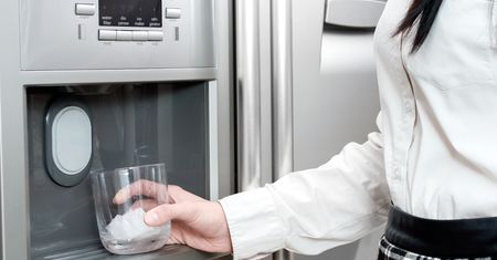 Lodówki z kostkarką do lodu do 5000 zł