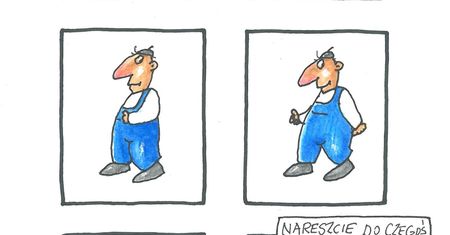 Bielsko-Biała. Poczucie humoru trzyma się mocno