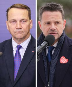 Sikorski jednak wystartuje? KO reaguje na spekulacje