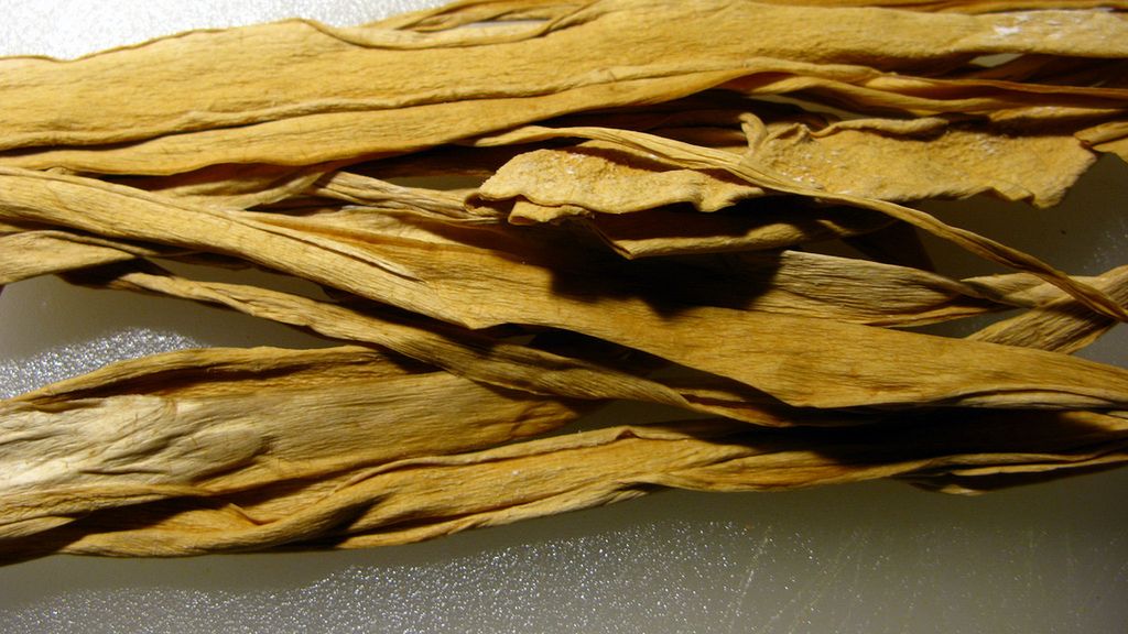 Kanpyo (suszone włókno tykwy)