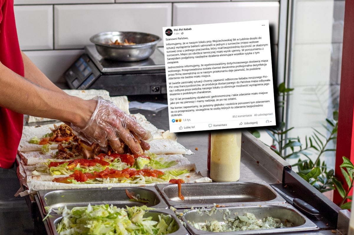 Salmonella w Piri-Piri Kebab w Lublinie. Klienci się zatruli, właściciele przepraszają - zdjęcie ilustracyjne