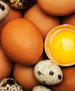 Rodzaje jajek i ich właściwości