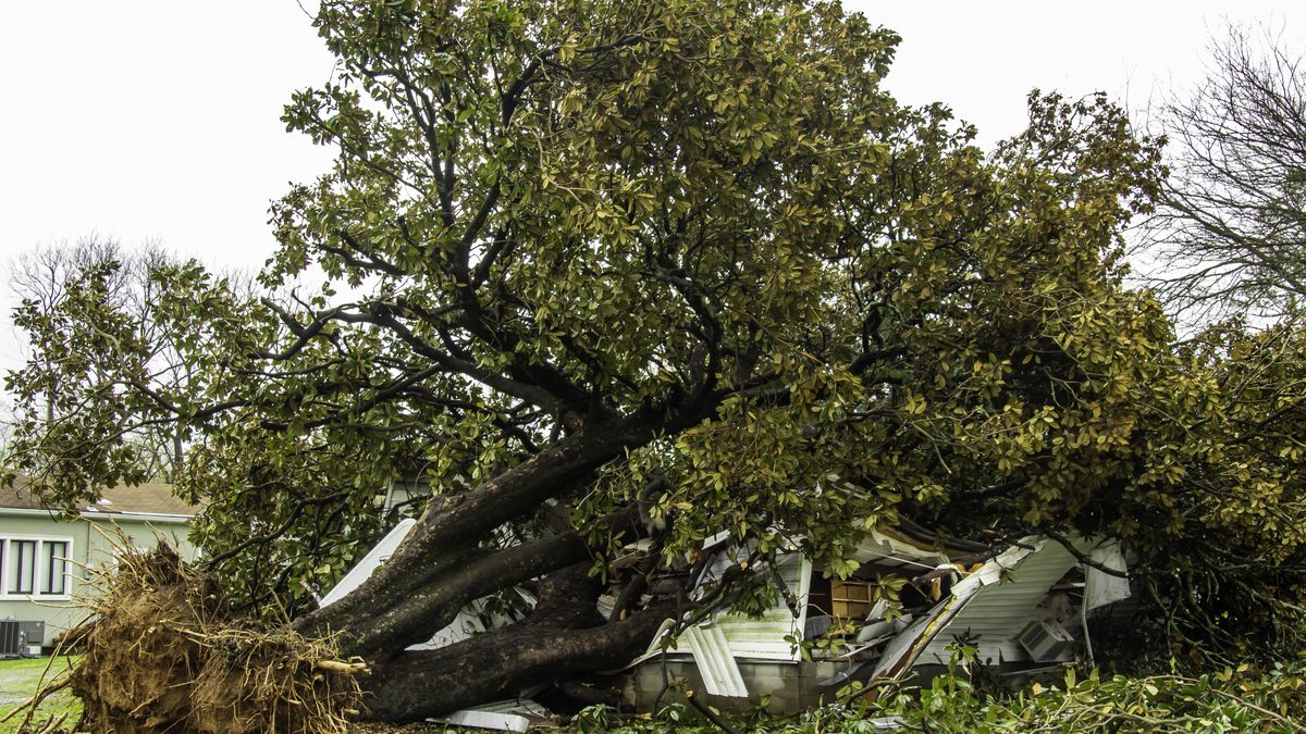 Destroyed House, Nashville TN
A house crushed by a tree in a recent thunderstorm.
Nicholas Nace