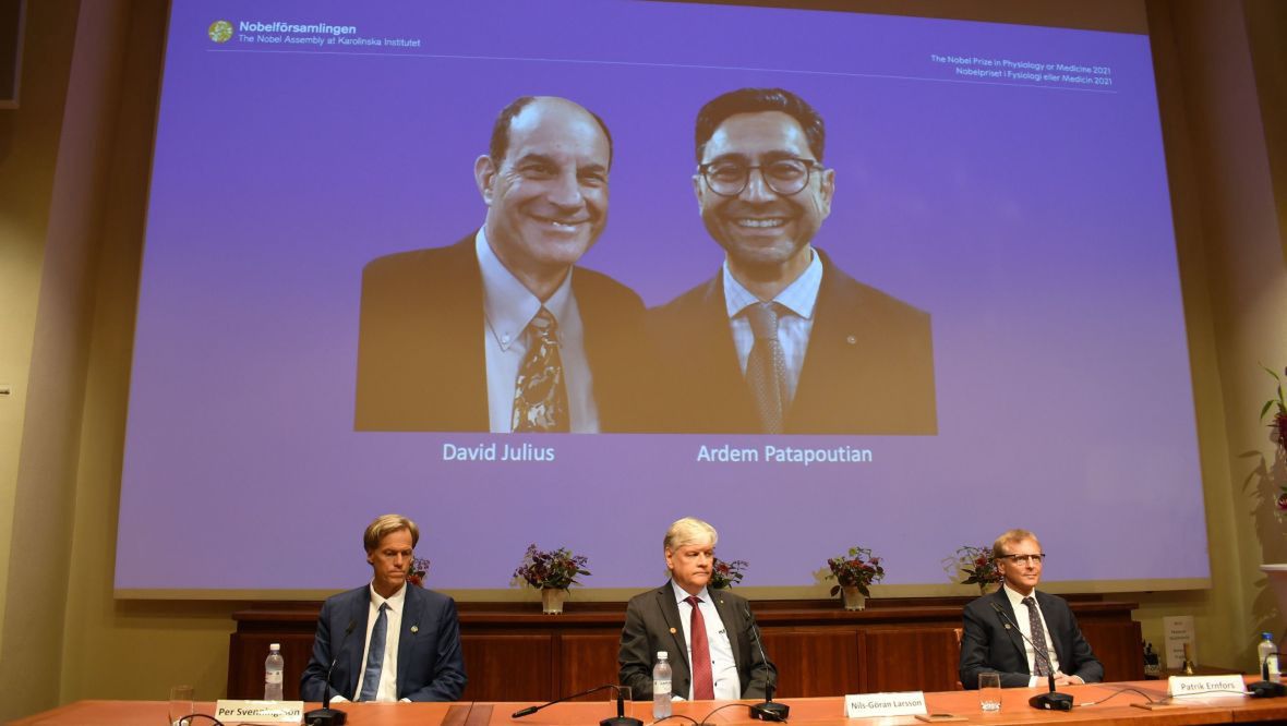 Sztokholm, 4 października 2021 roku. Moment ogłoszenia zwycięzców w dziedzinie fizjologia/medycyna. Nagrodę zdobyli David Julius i Ardem Patapoutian.