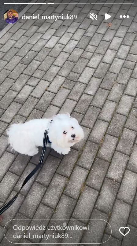 Daniel Martyniuk ociepla wizerunek