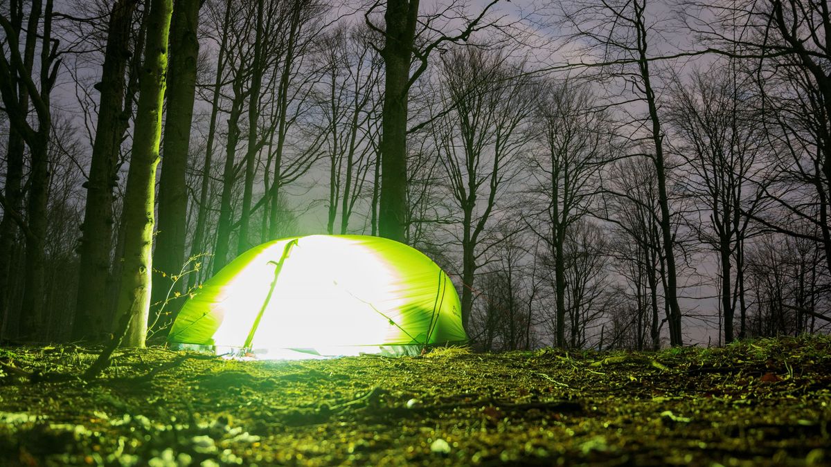 Nadleśnictwo Kudypy