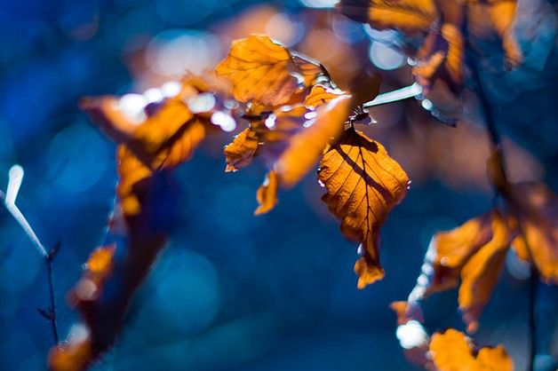 Jesienne inspiracje [galeria] 11