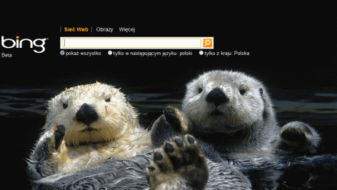 Microsoft zainwestuje astronomiczną sumę w Bing 1