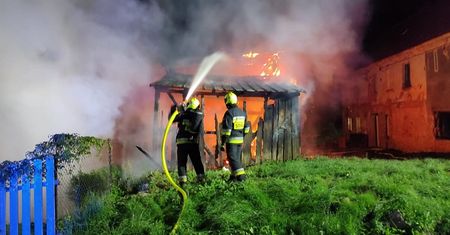 Podpalaczka aresztowana. W wywołanym przez nią pożarze spłonął pies