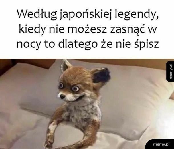 Memy o śpiochach