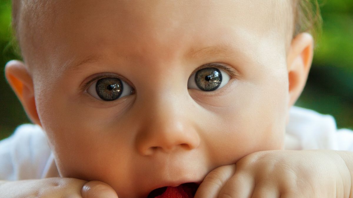 Dieta wegetariańska dla dzieci