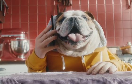 Ludzkie psy i kot reklamują „niedopsiegadania” w Heyah (wideo)