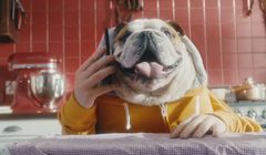 Ludzkie psy i kot reklamują „niedopsiegadania” w Heyah (wideo)