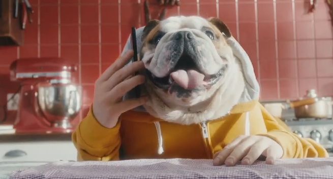 Ludzkie psy i kot reklamują „niedopsiegadania” w Heyah (wideo)