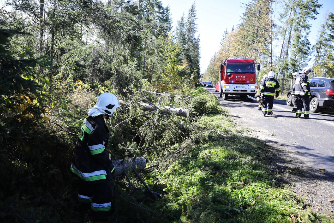Pogoda. Wichury przeszły przez Polskę. Wiatr zrywał dachy i linie energetyczne