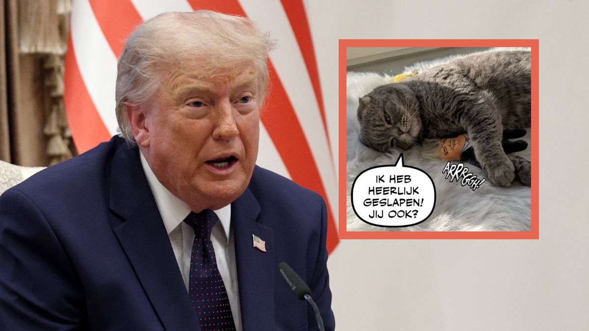 Internet kpi z wpisów Donalda Trumpa po meczu Belgia - USA.