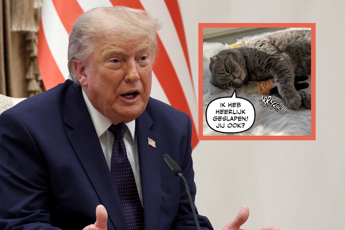 Trump pośmiewiskiem w trakcie mundialu. Internet odpowiedział mu serią kpin