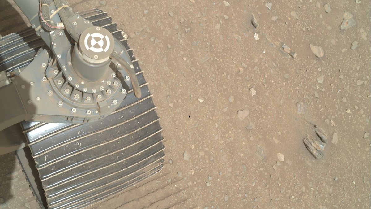 Gapowicze w kołach marsjańskiego łazika Perseverance