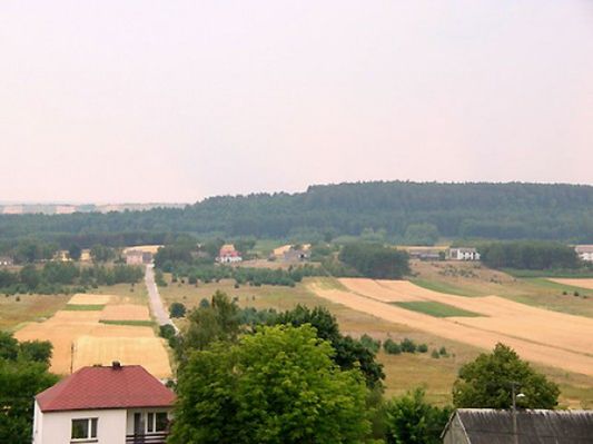 Obraz
