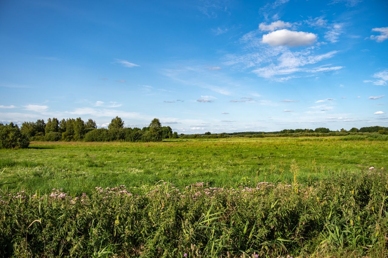 Wyciąg, pozostałości po osadzie