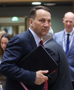 "Odstraszanie Putina to robota dla NATO". Sikorski na nieformalnym szczycie w Pradze