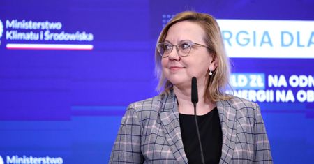Rząd mógł wydać "nawet 100 mld zł" na walkę z kryzysem. "Czas zakończyć populistyczny wyścig"