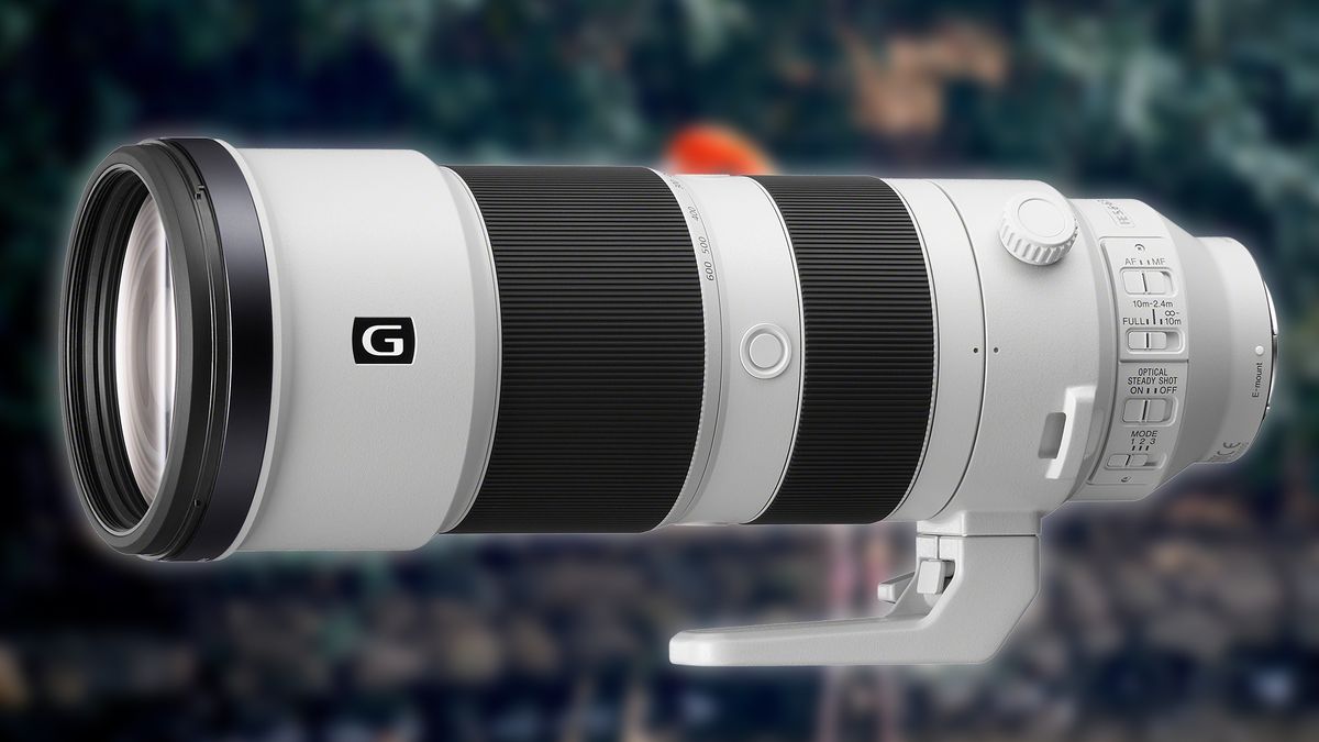Sony FE 200–600 mm F5,6–6,3 G OSS - pierwszy taki zoom do bezlusterkowców 1