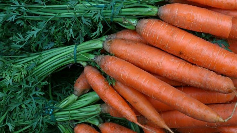 Jaka jest aktualna cena marchwi na rynku?