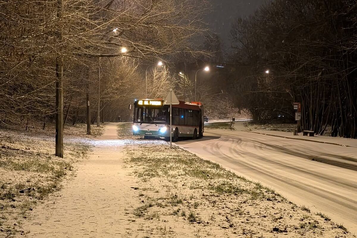 Autobus linii nr 42 wypadł z drogi
