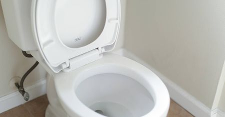 Ukryta funkcja deski sedesowej. Wciśnij w tym miejscu