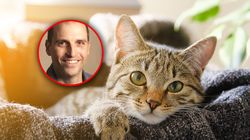 Odkryli możliwą przyczynę "long COVID". Kocia choroba pokazała, gdzie może ukrywać się wirus