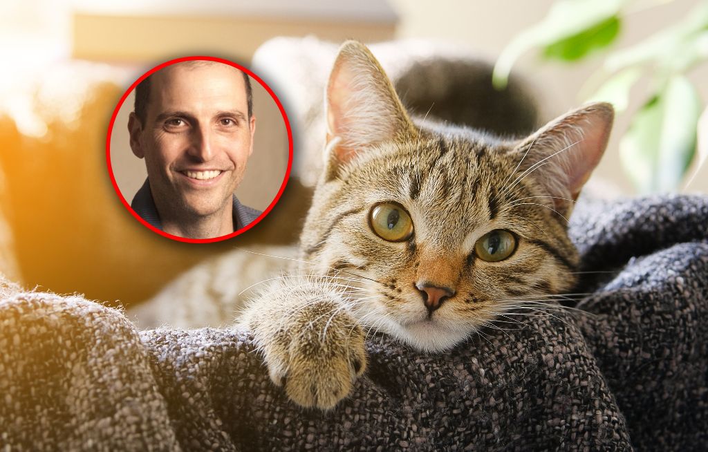 Odkryli możliwą przyczynę "long COVID". Kocia choroba pokazała, gdzie może ukrywać się wirus