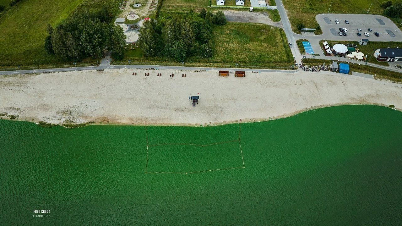 Sinice nad morzem i na Kaszubach