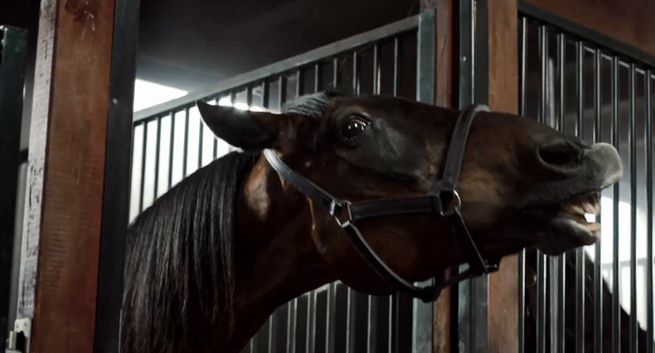 Koń w reklamie środka na erekcję Inventum Max