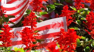 Cracovia obchodzi urodziny. Krakowski klub ma już 118 lat!
