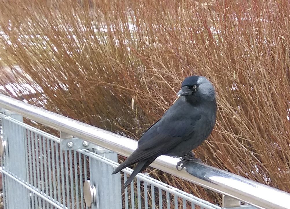 HTC Desire Eye - test fotograficzny 10