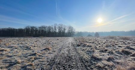 Prognoza pogody na 25 i 26 listopada. Zmienne warunki atmosferyczne