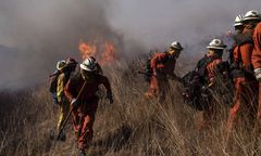 Toksyny zabijają strażaków. Lekarka: "Jestem przerażona"