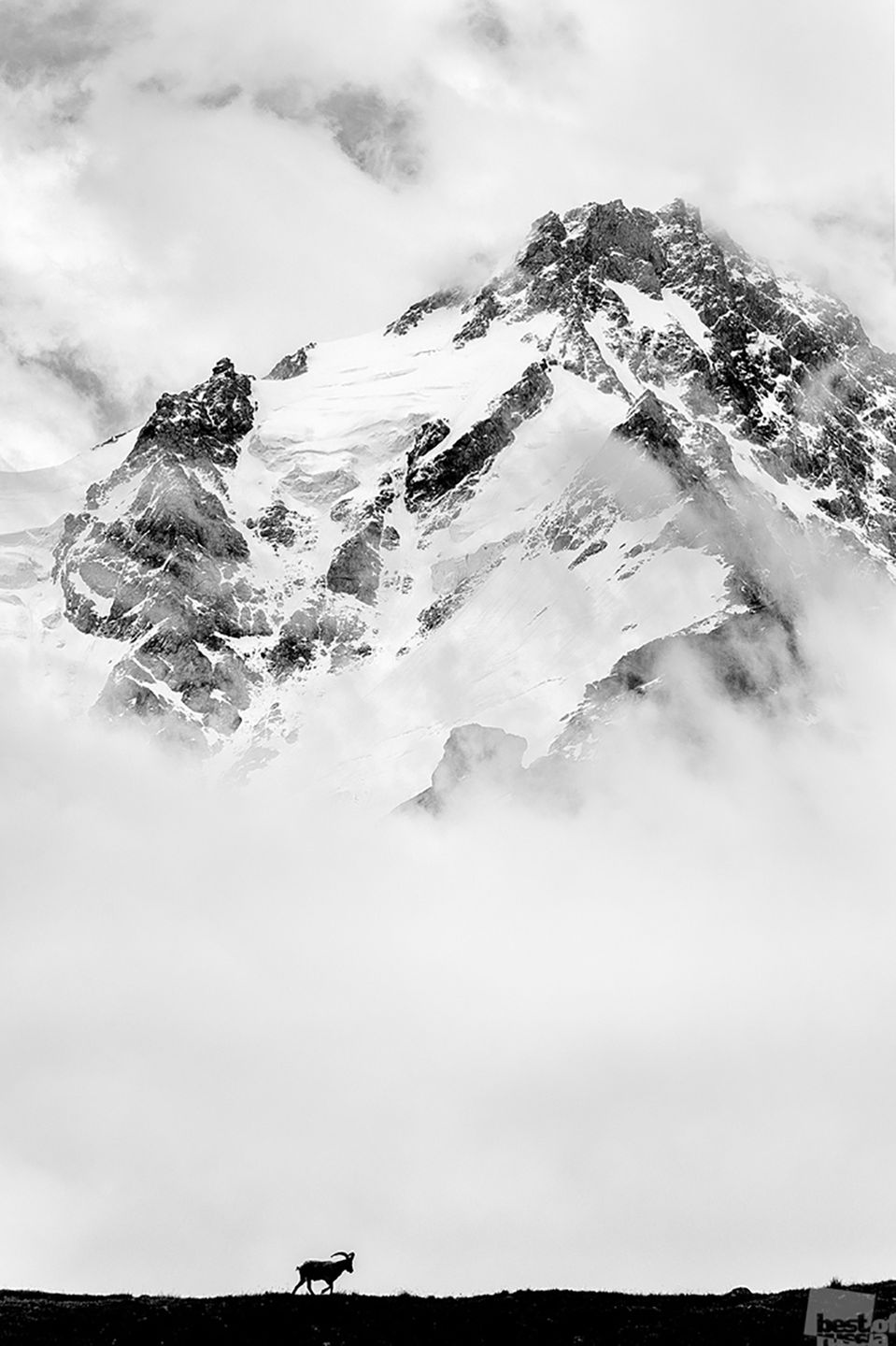 Nominowani do tytułu Najlepszego Fotografa Rosji w konkursie „Best of Russia 2016” 25