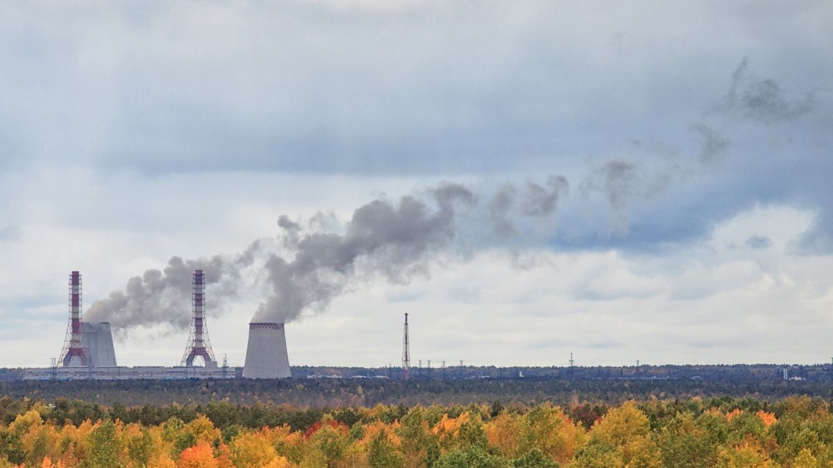 Minister Piotr Nowak podkreśla, że Chiny w rok zbudowały tyle elektrowni węglowych, ile dziś jest w całej Unii Europejskiej. 