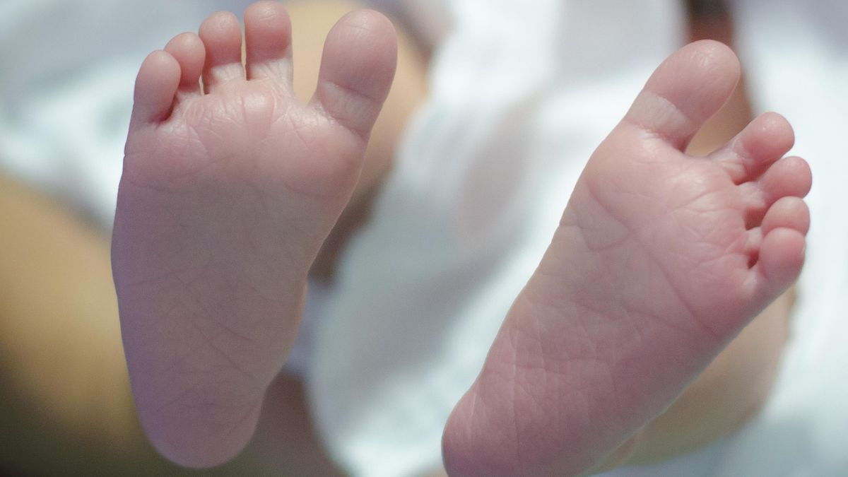 Prokuratura Rejonowa Warszawa-Praga Południe prowadzi śledztwo d