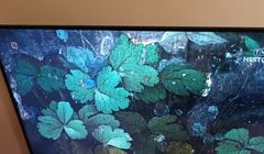 TVP Seriale i TVP Historia zaczęły emisję w jakości HD