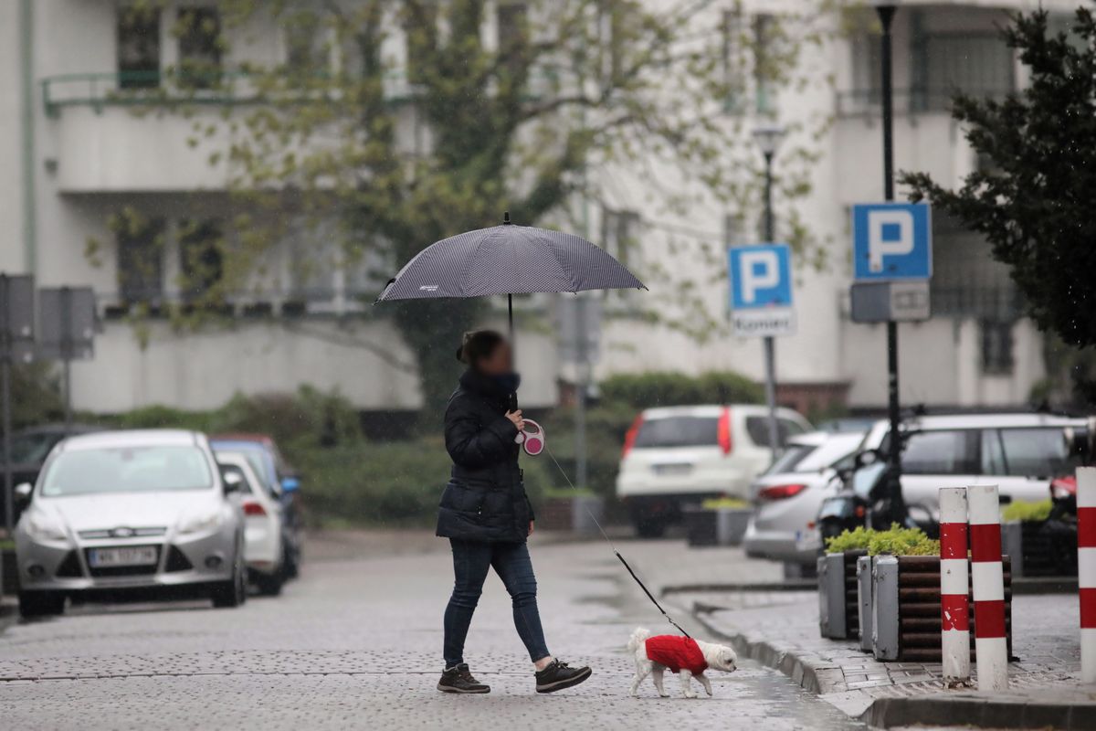 Pogoda. Warszawa. Przelotny deszcz